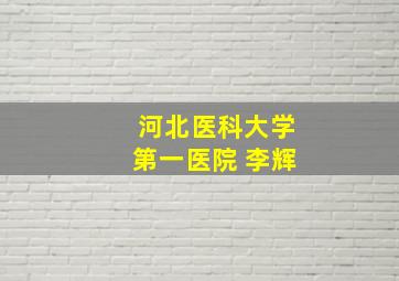 河北医科大学第一医院 李辉